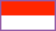 The flag of Indonesia