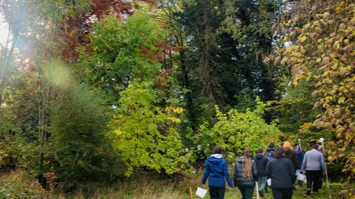 walk at bayfordbury woods
